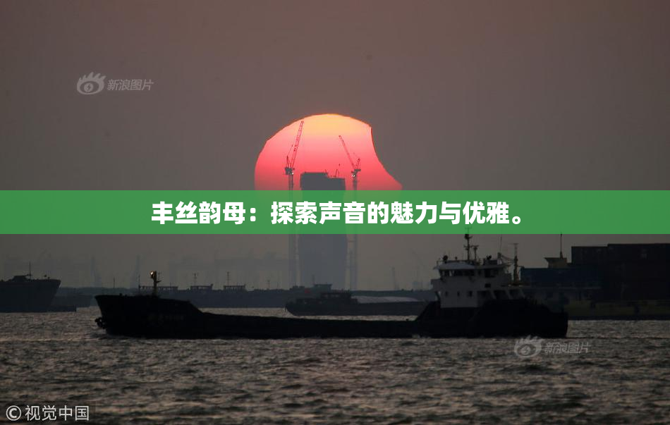丰丝韵母：探索声音的魅力与优雅。
