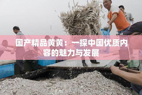 国产精品黄黄：一探中国优质内容的魅力与发展