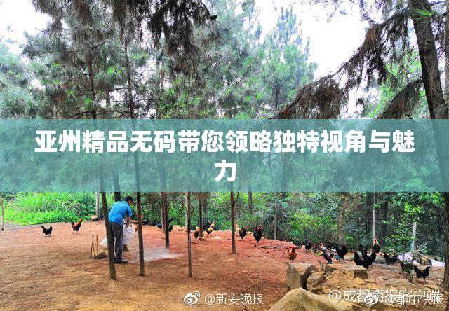 亚州精品无码带您领略独特视角与魅力