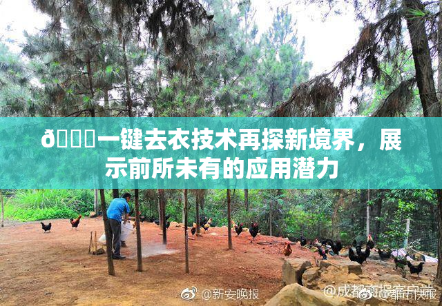 🔞一键去衣技术再探新境界，展示前所未有的应用潜力