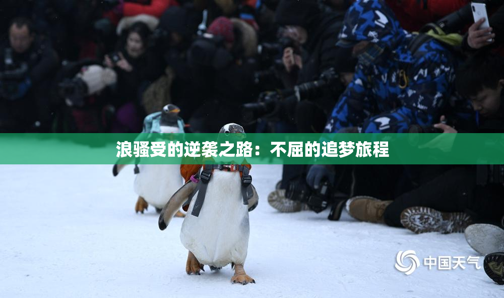 浪骚受的逆袭之路：不屈的追梦旅程