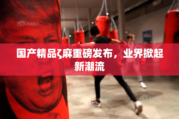 国产精品ζ麻重磅发布，业界掀起新潮流