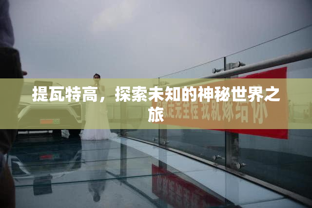 提瓦特高，探索未知的神秘世界之旅