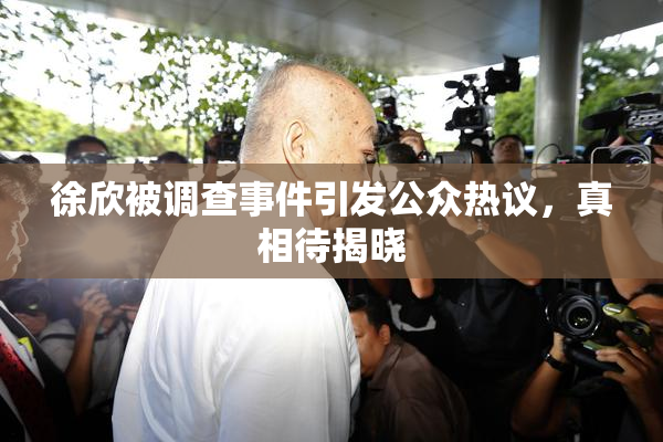 徐欣被调查事件引发公众热议，真相待揭晓