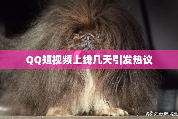 QQ短视频上线几天引发热议