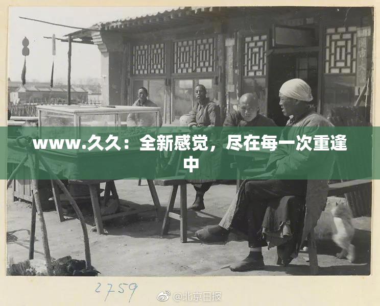 www.久久：全新感觉，尽在每一次重逢中