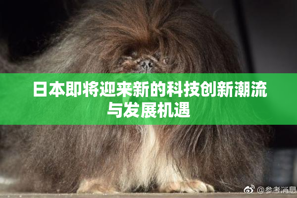 日本即将迎来新的科技创新潮流与发展机遇