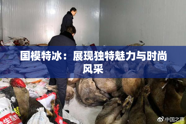 国模特冰：展现独特魅力与时尚风采