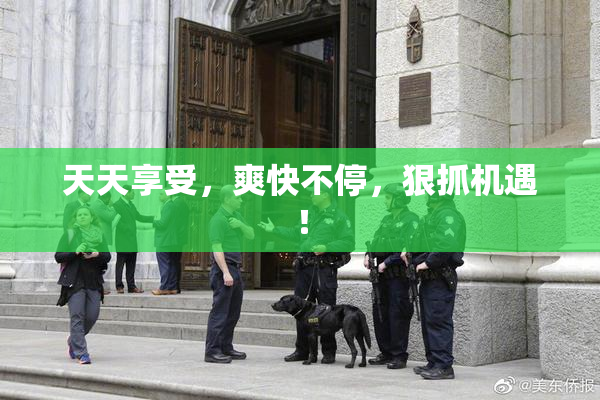 天天享受，爽快不停，狠抓机遇！