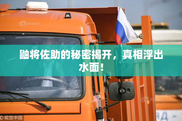 鼬将佐助的秘密揭开，真相浮出水面！