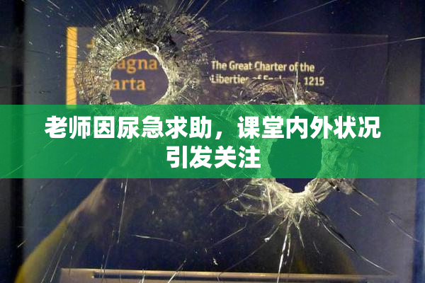 老师因尿急求助，课堂内外状况引发关注