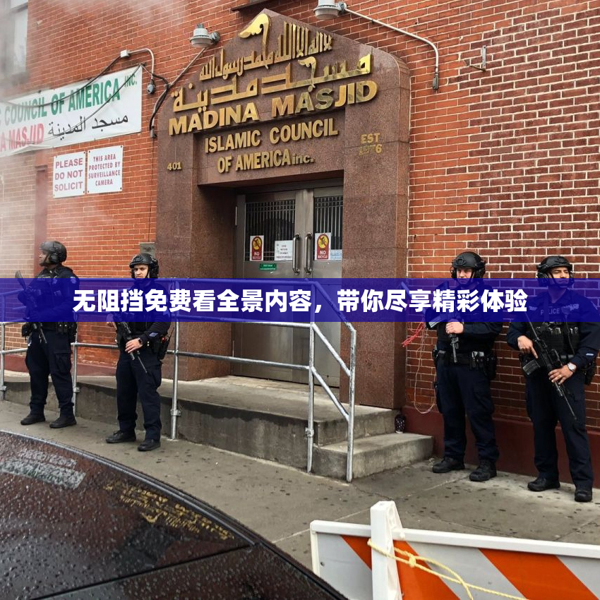 无阻挡免费看全景内容，带你尽享精彩体验