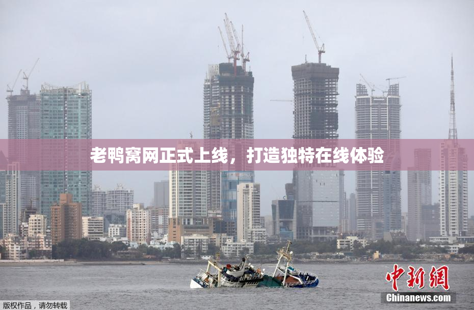 老鸭窝网正式上线，打造独特在线体验