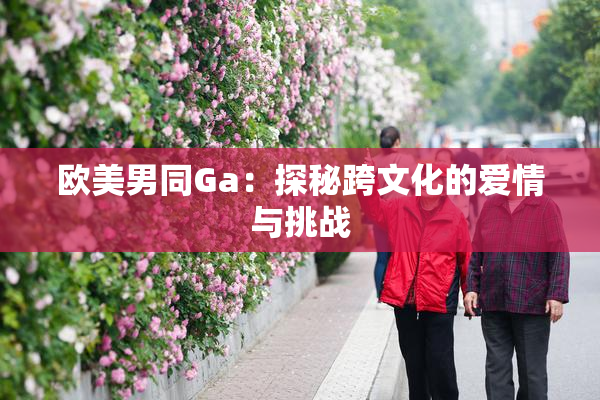 欧美男同Ga：探秘跨文化的爱情与挑战
