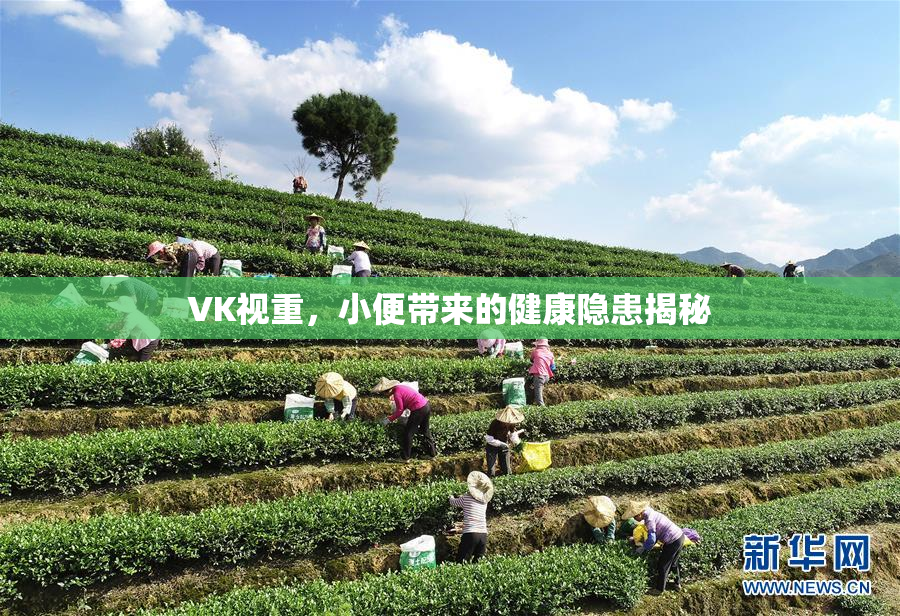 VK视重，小便带来的健康隐患揭秘