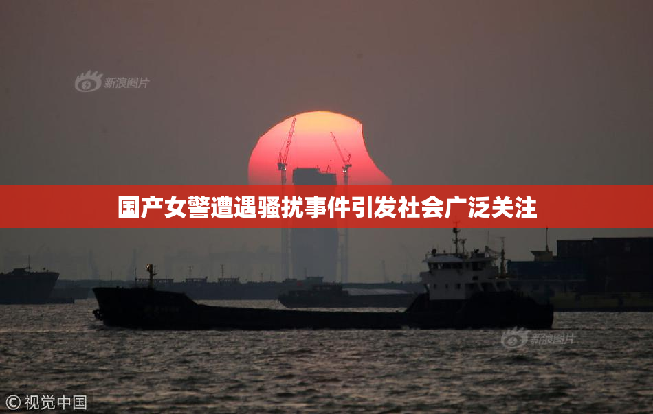 国产女警遭遇骚扰事件引发社会广泛关注