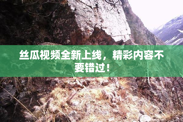 丝瓜视频全新上线，精彩内容不要错过！