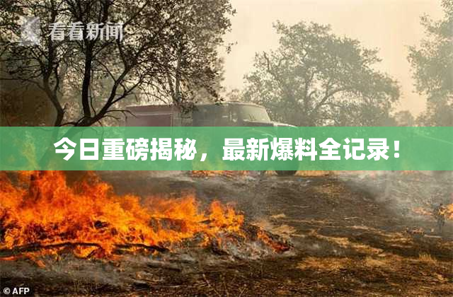 今日重磅揭秘，最新爆料全记录！