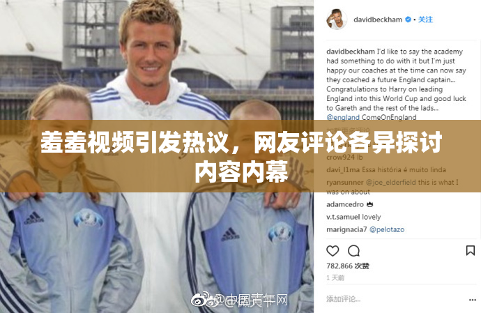 羞羞视频引发热议，网友评论各异探讨内容内幕