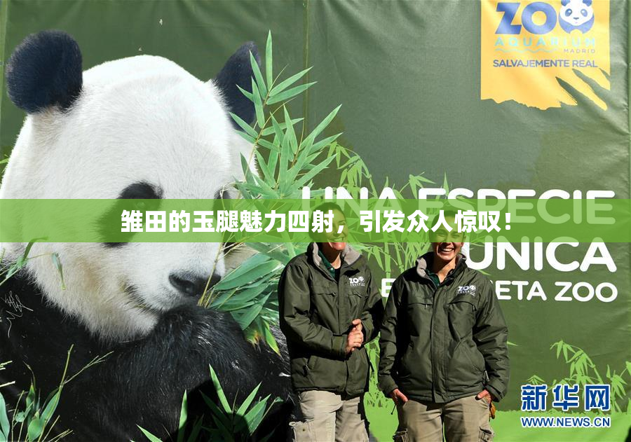 雏田的玉腿魅力四射，引发众人惊叹！