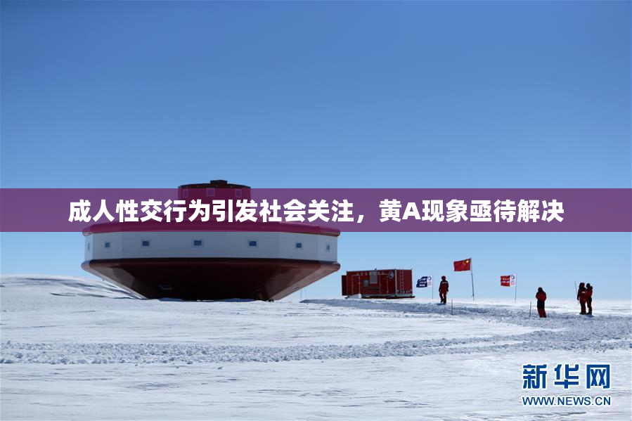 成人性交行为引发社会关注，黄A现象亟待解决