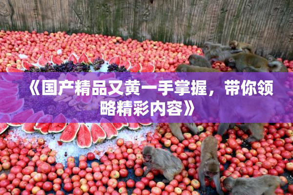 《国产精品又黄一手掌握，带你领略精彩内容》