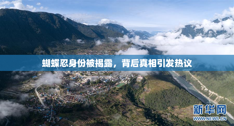 蝴蝶忍身份被揭露，背后真相引发热议
