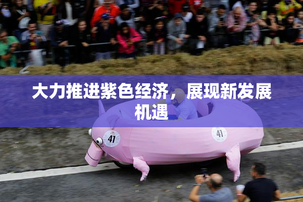 大力推进紫色经济，展现新发展机遇