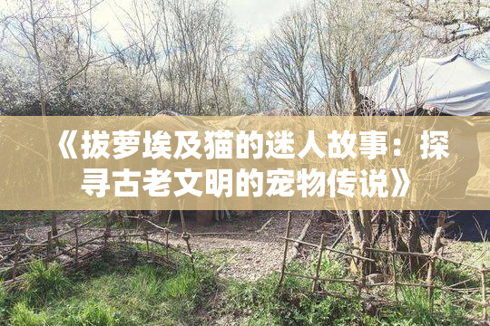 《拔萝埃及猫的迷人故事：探寻古老文明的宠物传说》