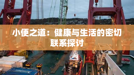 小便之道：健康与生活的密切联系探讨