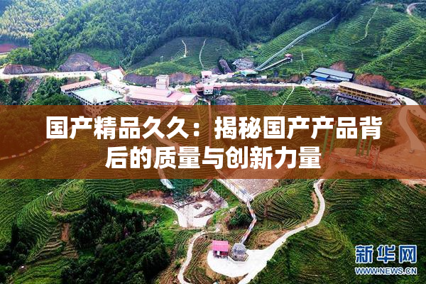 国产精品久久：揭秘国产产品背后的质量与创新力量