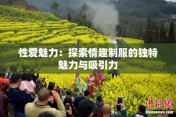 性爱魅力：探索情趣制服的独特魅力与吸引力