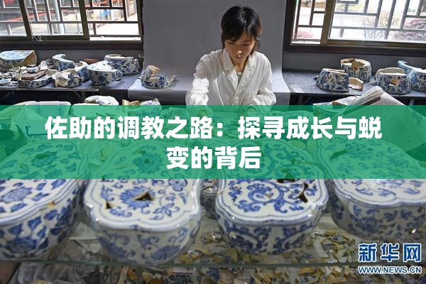 佐助的调教之路：探寻成长与蜕变的背后