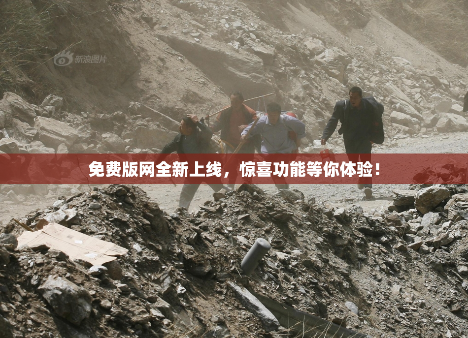 免费版网全新上线，惊喜功能等你体验！