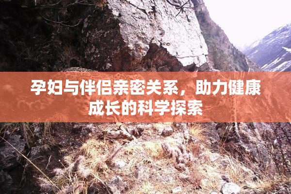 孕妇与伴侣亲密关系，助力健康成长的科学探索