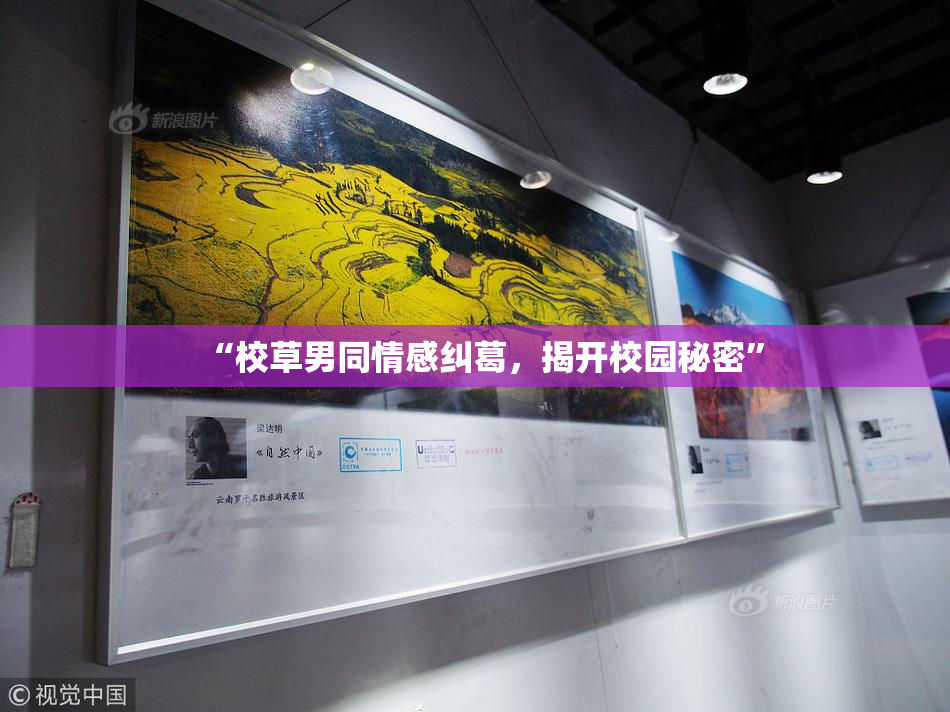 “校草男同情感纠葛，揭开校园秘密”