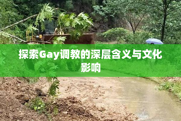 探索Gay调教的深层含义与文化影响