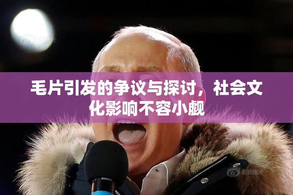 毛片引发的争议与探讨，社会文化影响不容小觑