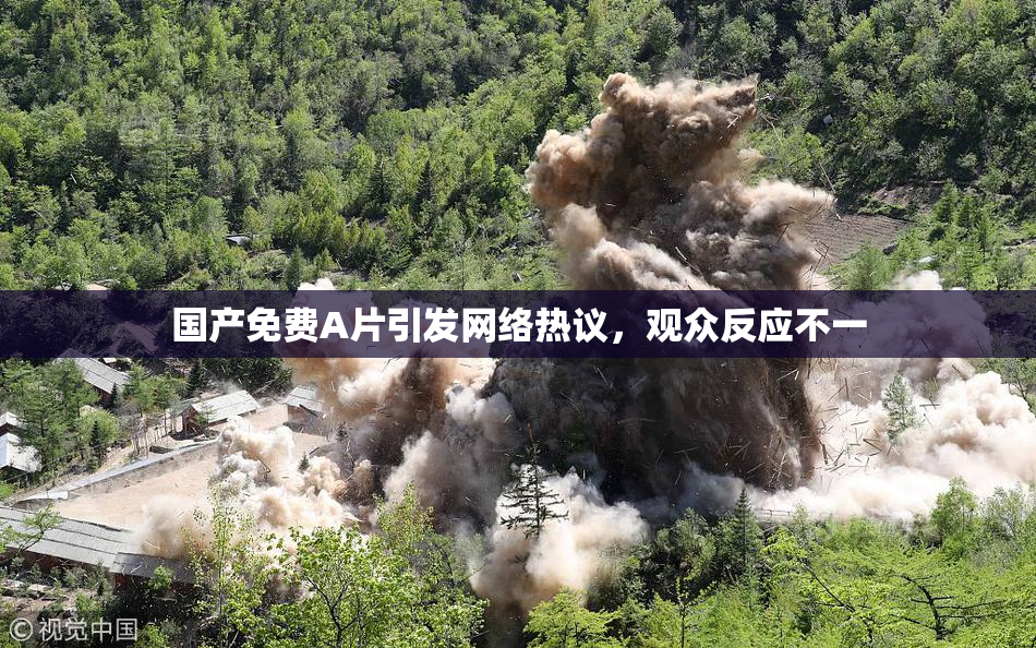 国产免费A片引发网络热议，观众反应不一