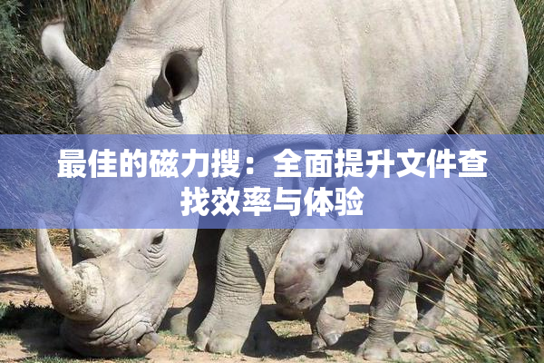 最佳的磁力搜：全面提升文件查找效率与体验