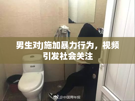 男生对J施加暴力行为，视频引发社会关注