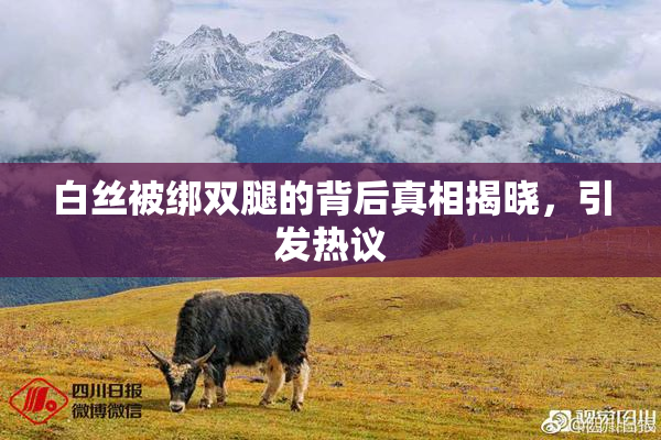 白丝被绑双腿的背后真相揭晓，引发热议