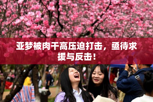 亚梦被肉干高压迫打击，亟待求援与反击！