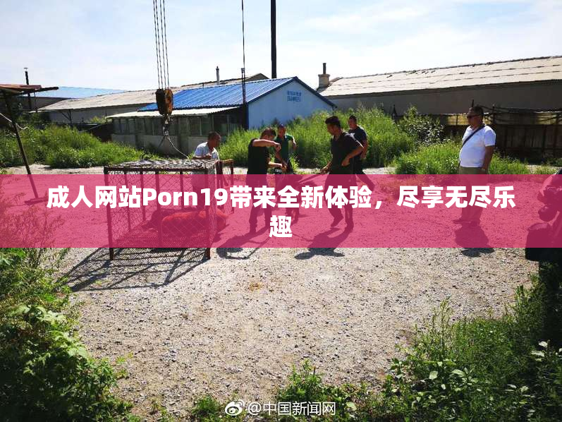 成人网站Porn19带来全新体验，尽享无尽乐趣