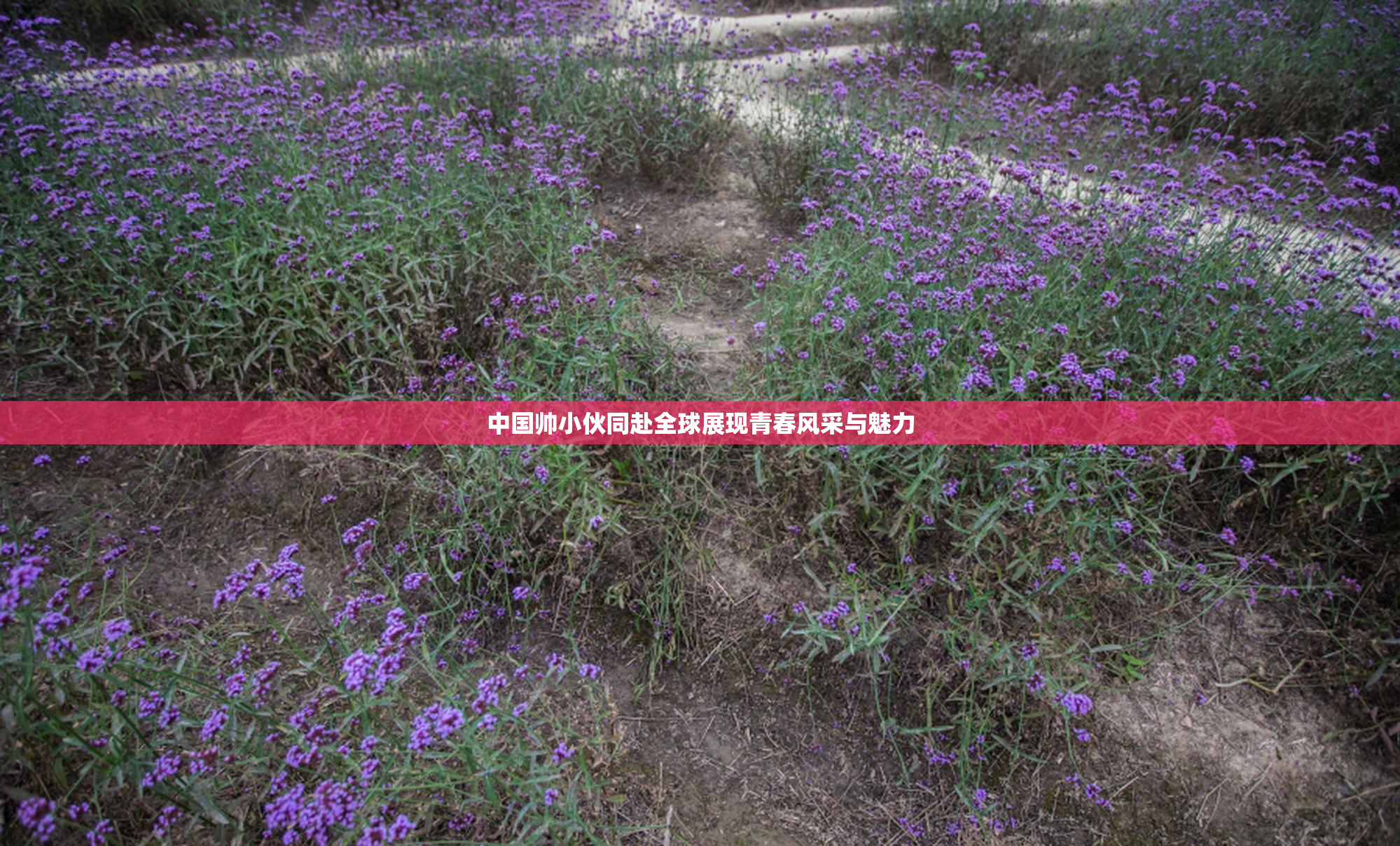 中国帅小伙同赴全球展现青春风采与魅力