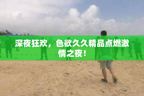 深夜狂欢，色欲久久精品点燃激情之夜！