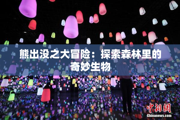 熊出没之大冒险：探索森林里的奇妙生物