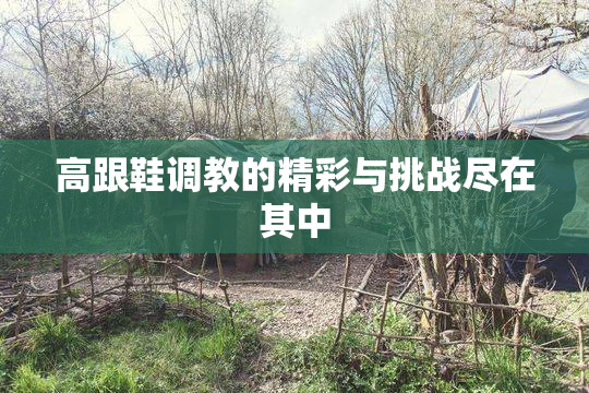 高跟鞋调教的精彩与挑战尽在其中