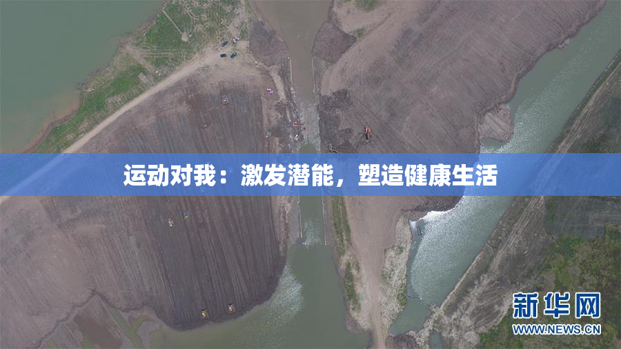 运动对我：激发潜能，塑造健康生活