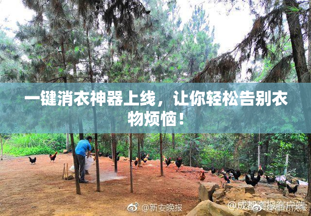 一键消衣神器上线，让你轻松告别衣物烦恼！